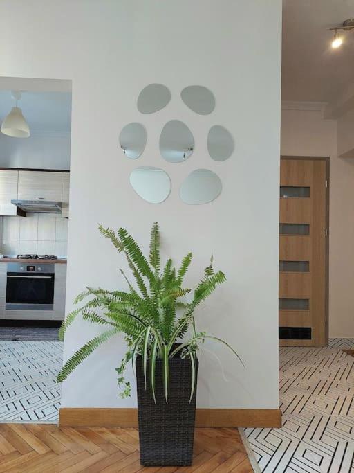 Domin Domin Appartement Częstochowa Buitenkant foto